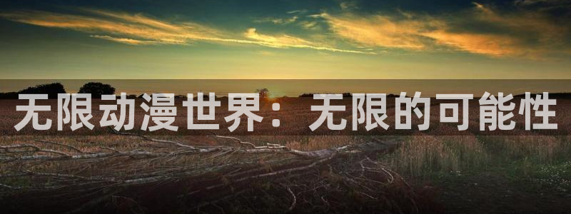 age动漫专注动漫动画的网站