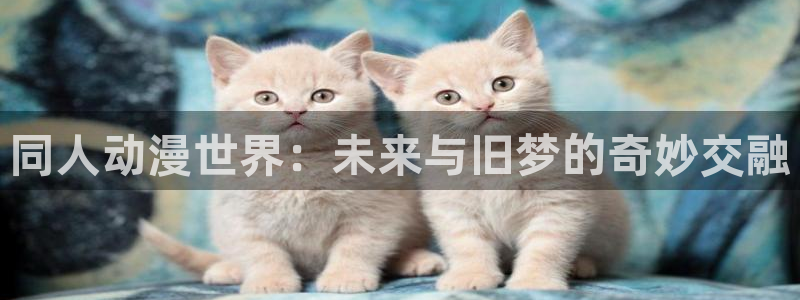 age动漫官网在线观看动漫